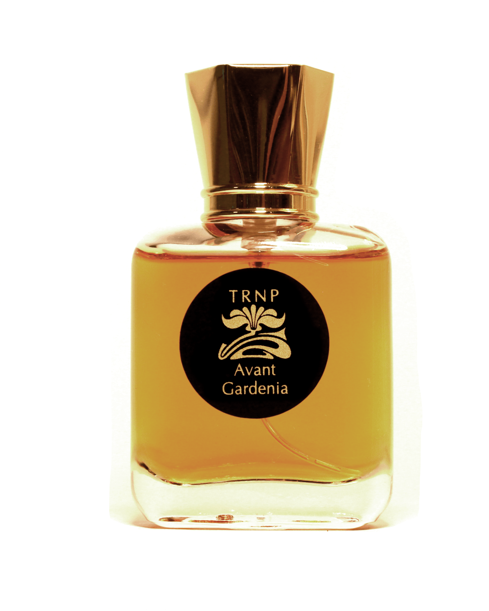 Avant Gardenia