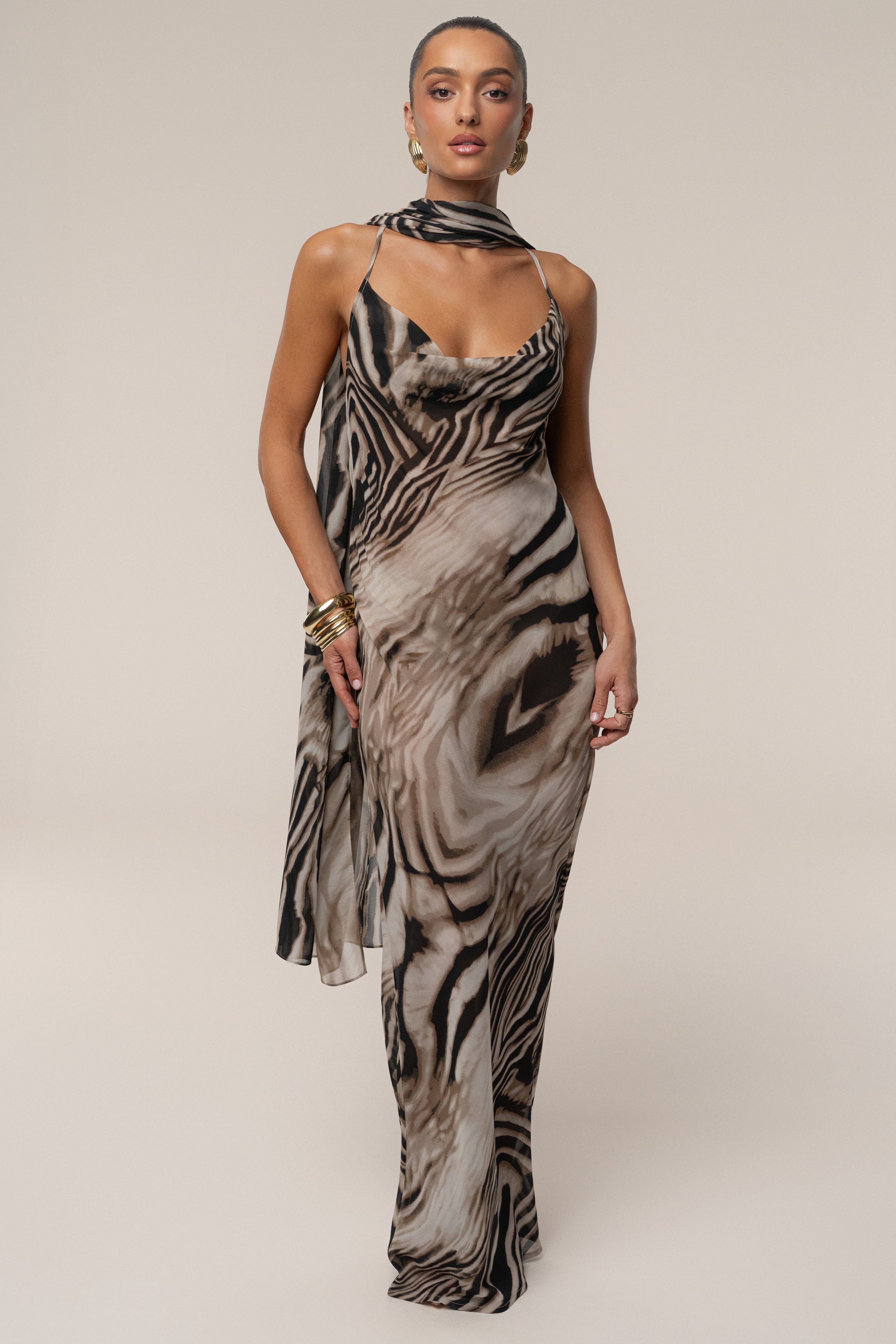 Brown Zebra Print Infinite Journey Maxi Dress
