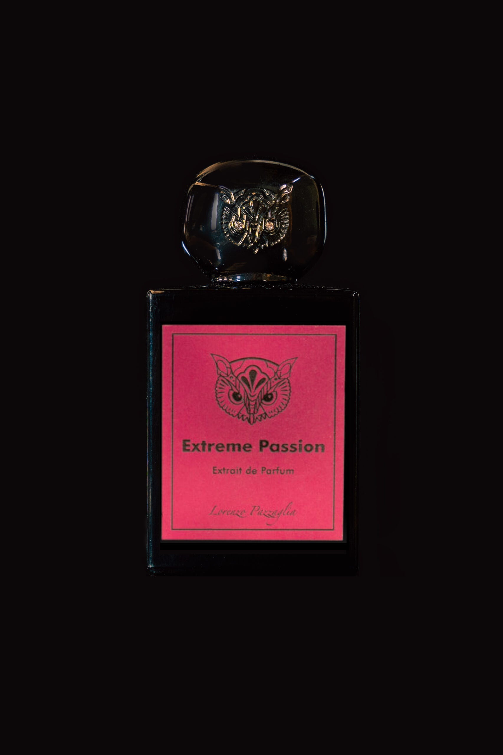 Extreme Passion