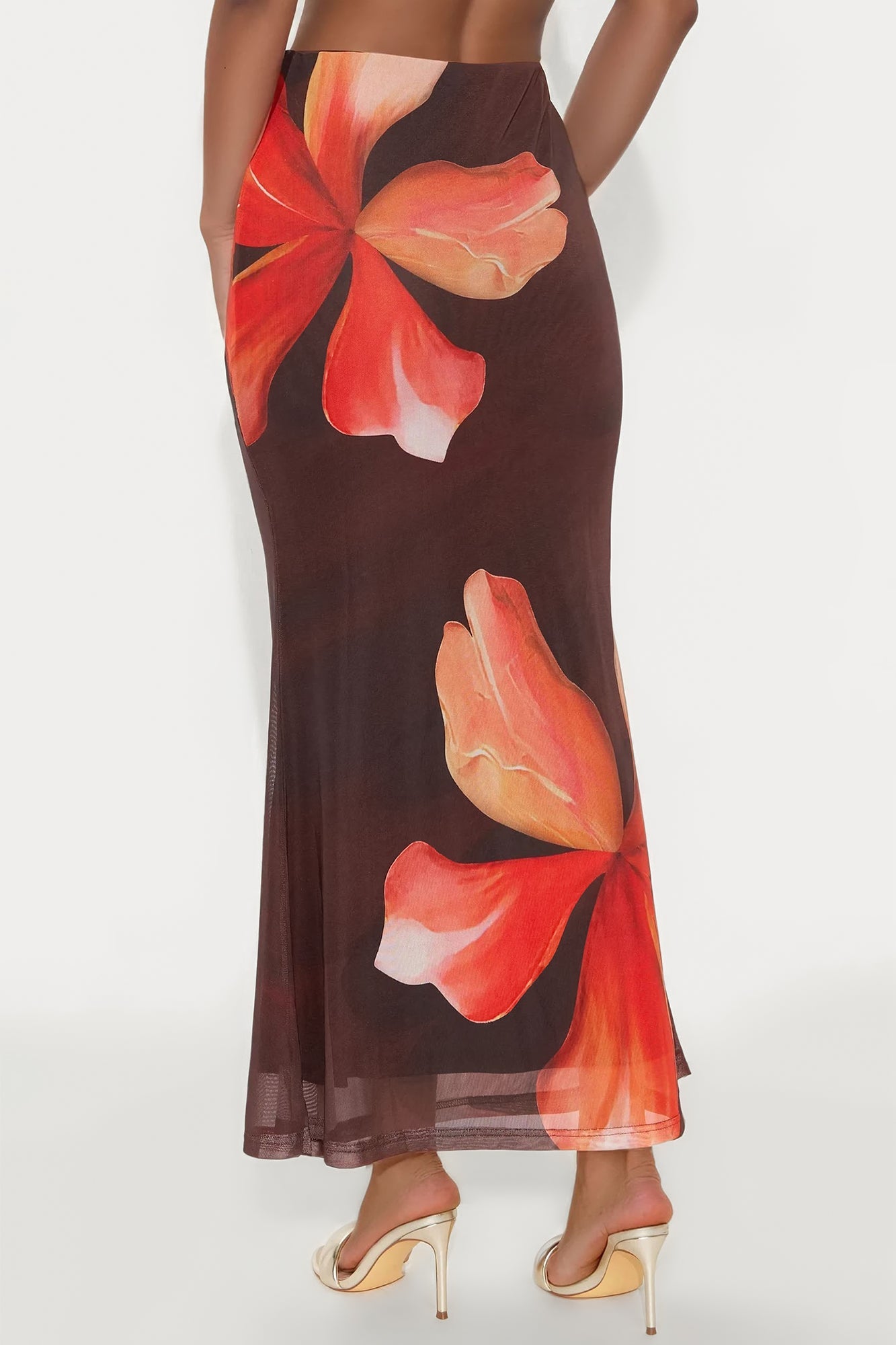 Into The Night Floral Mesh Maxi Skirt - Brown/combo