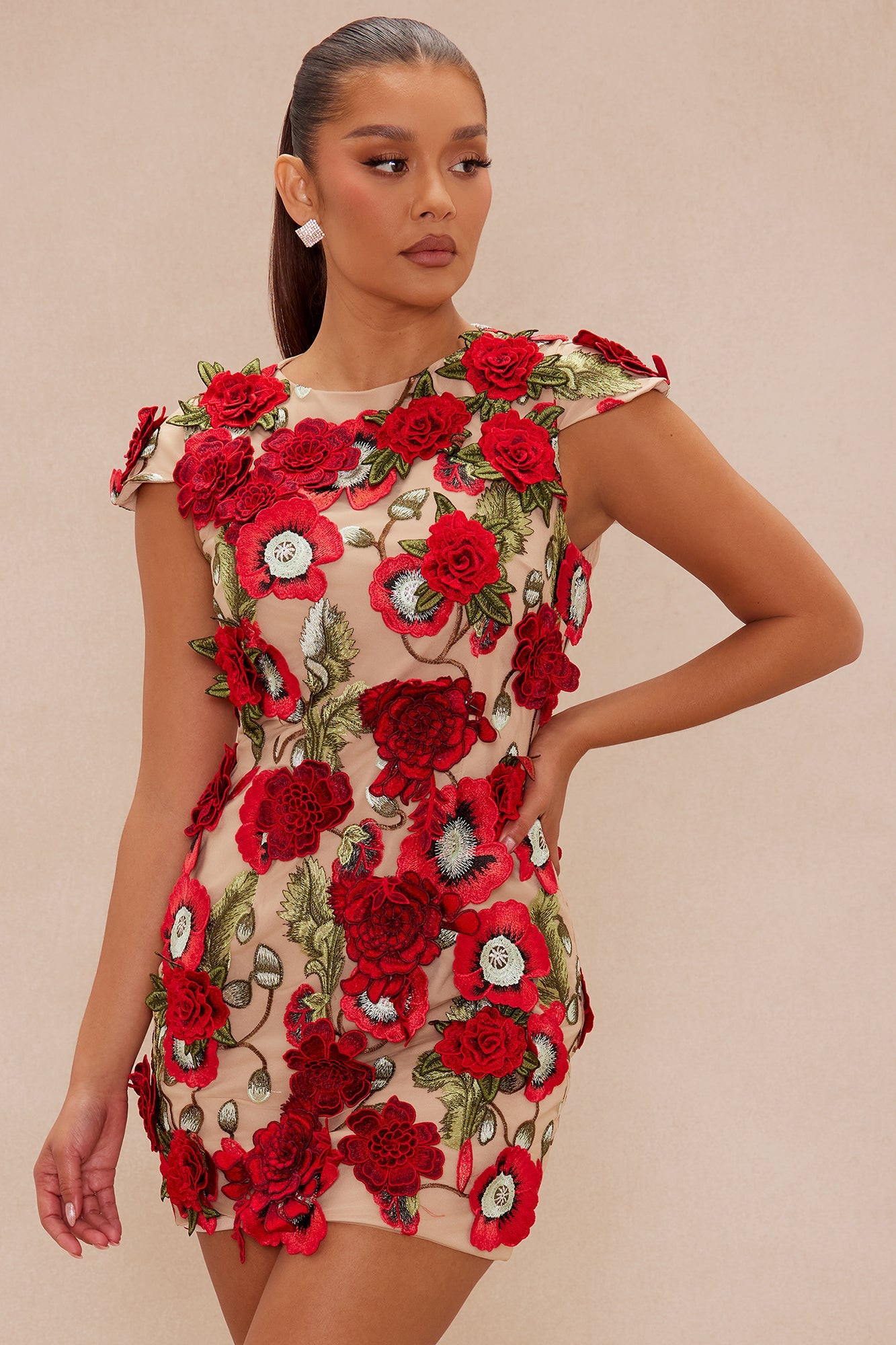 Maeve Floral Applique Mini Dress - Red/combo
