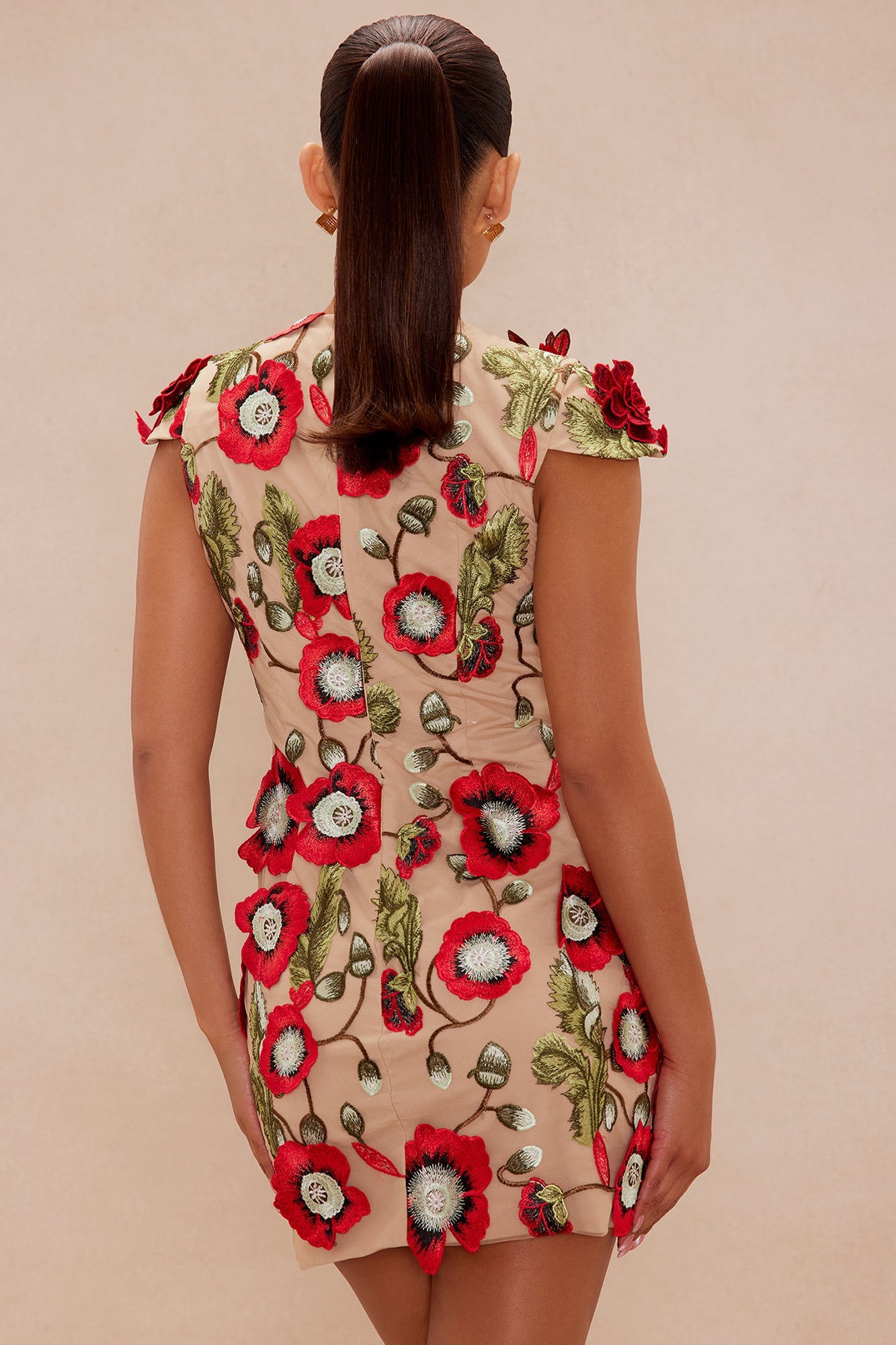 Maeve Floral Applique Mini Dress - Red/combo