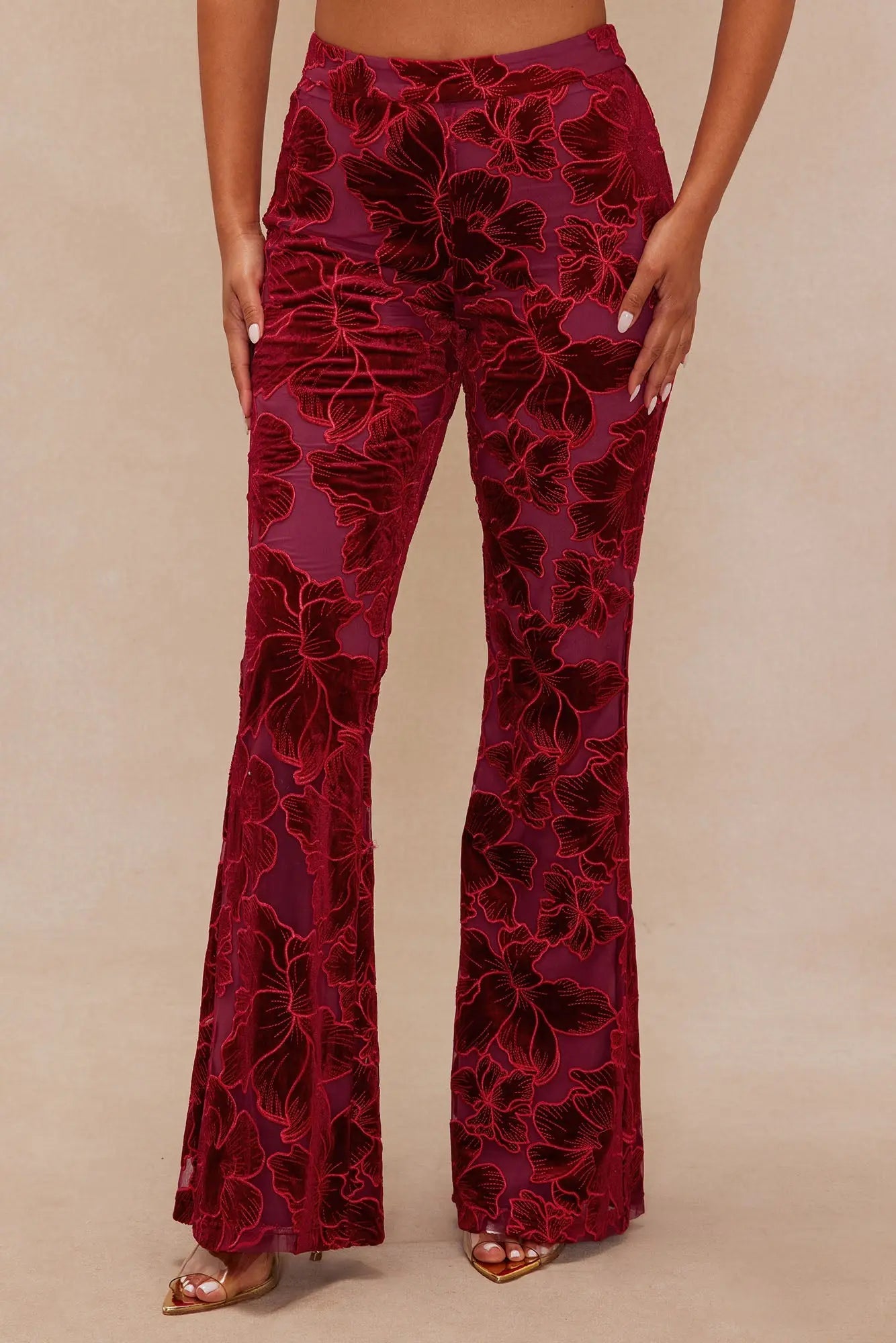 Tyra Velvet Embroidered Pant - Burgundy 
