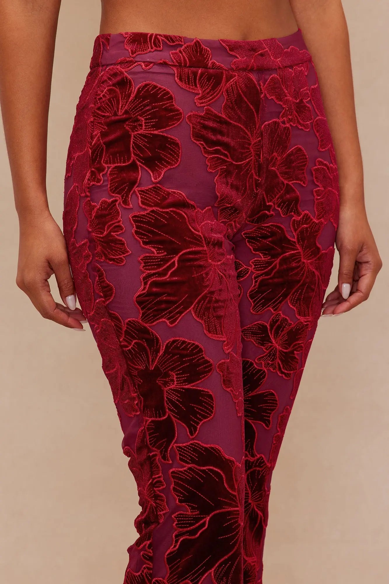 Tyra Velvet Embroidered Pant - Burgundy 