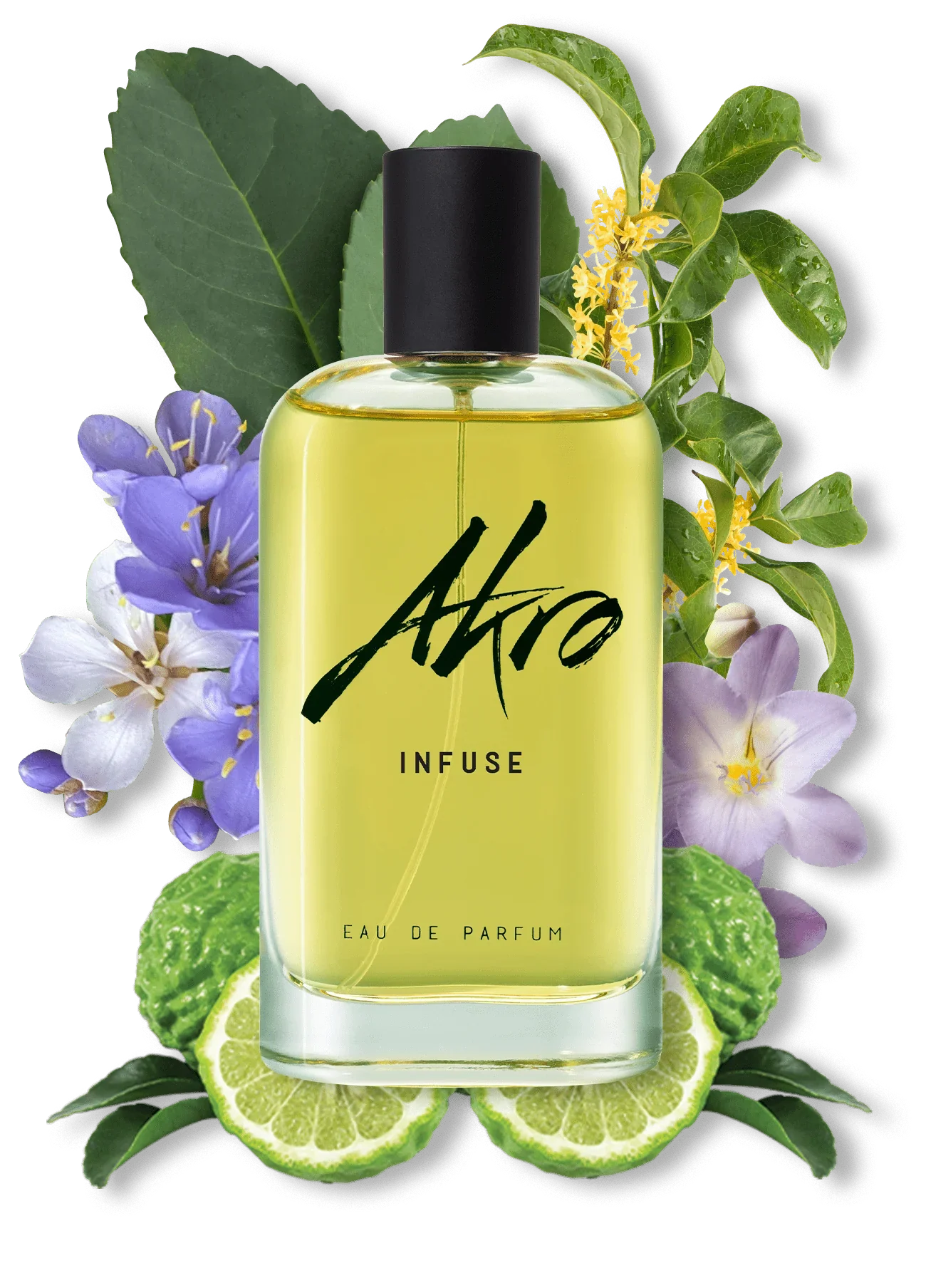 Infuse 