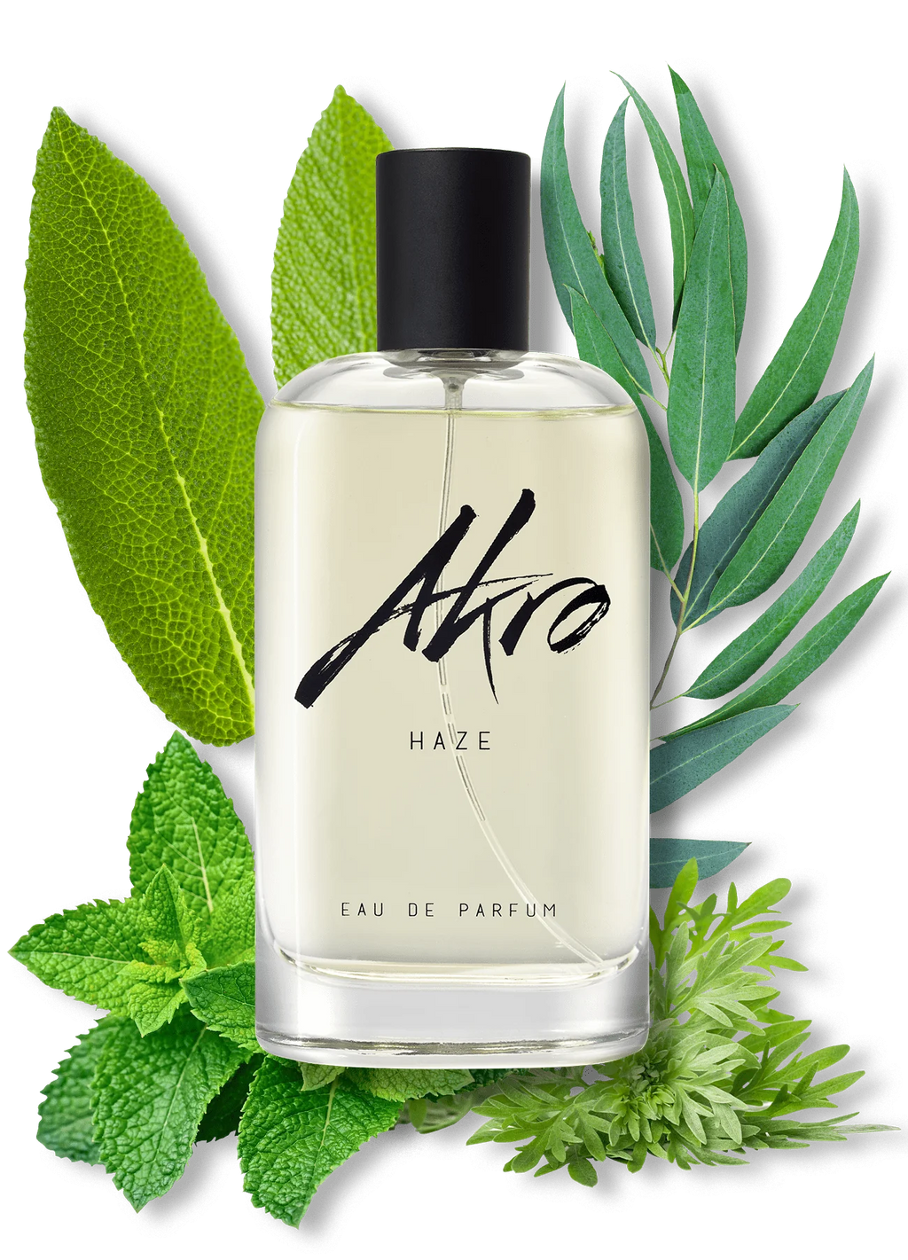 Haze 