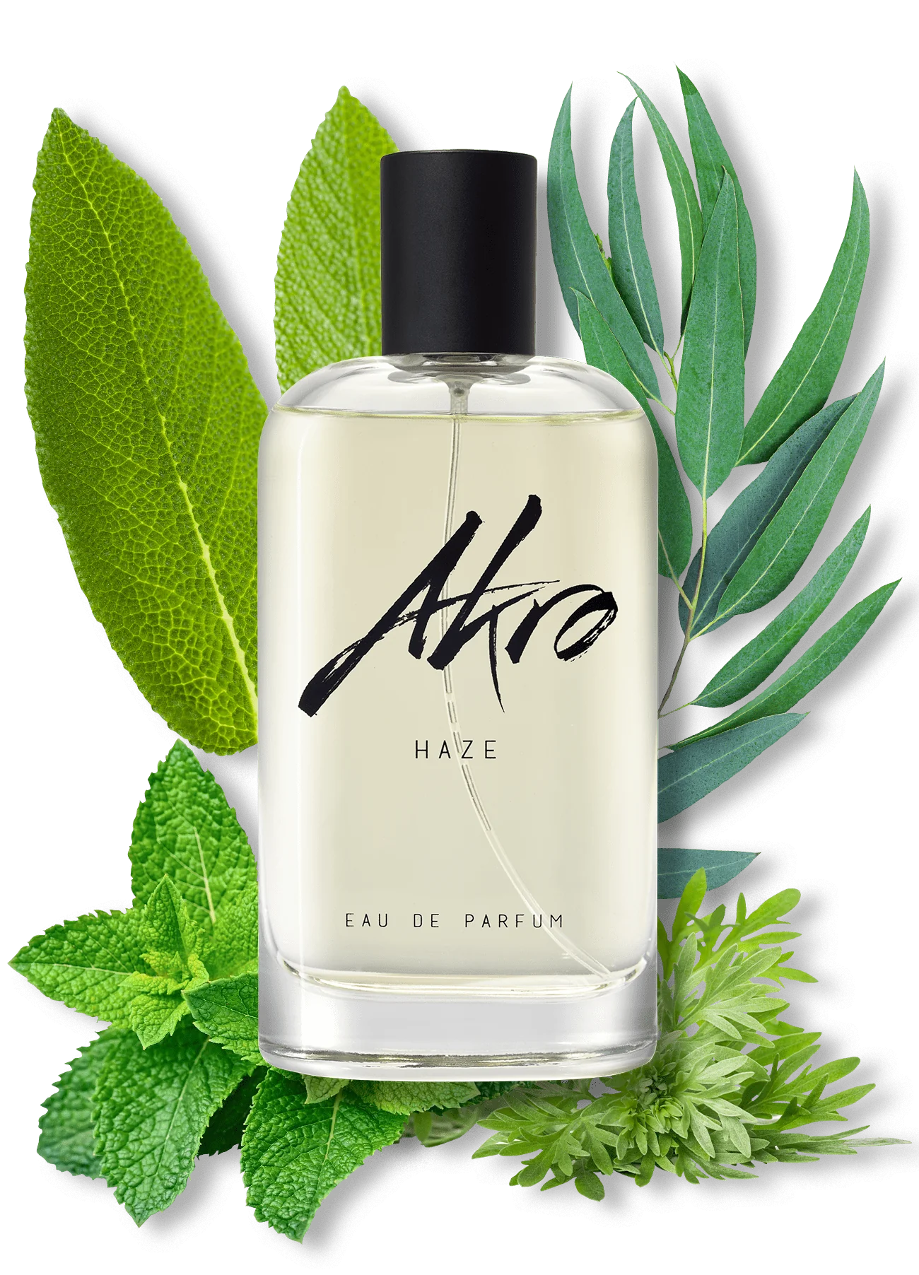Haze 