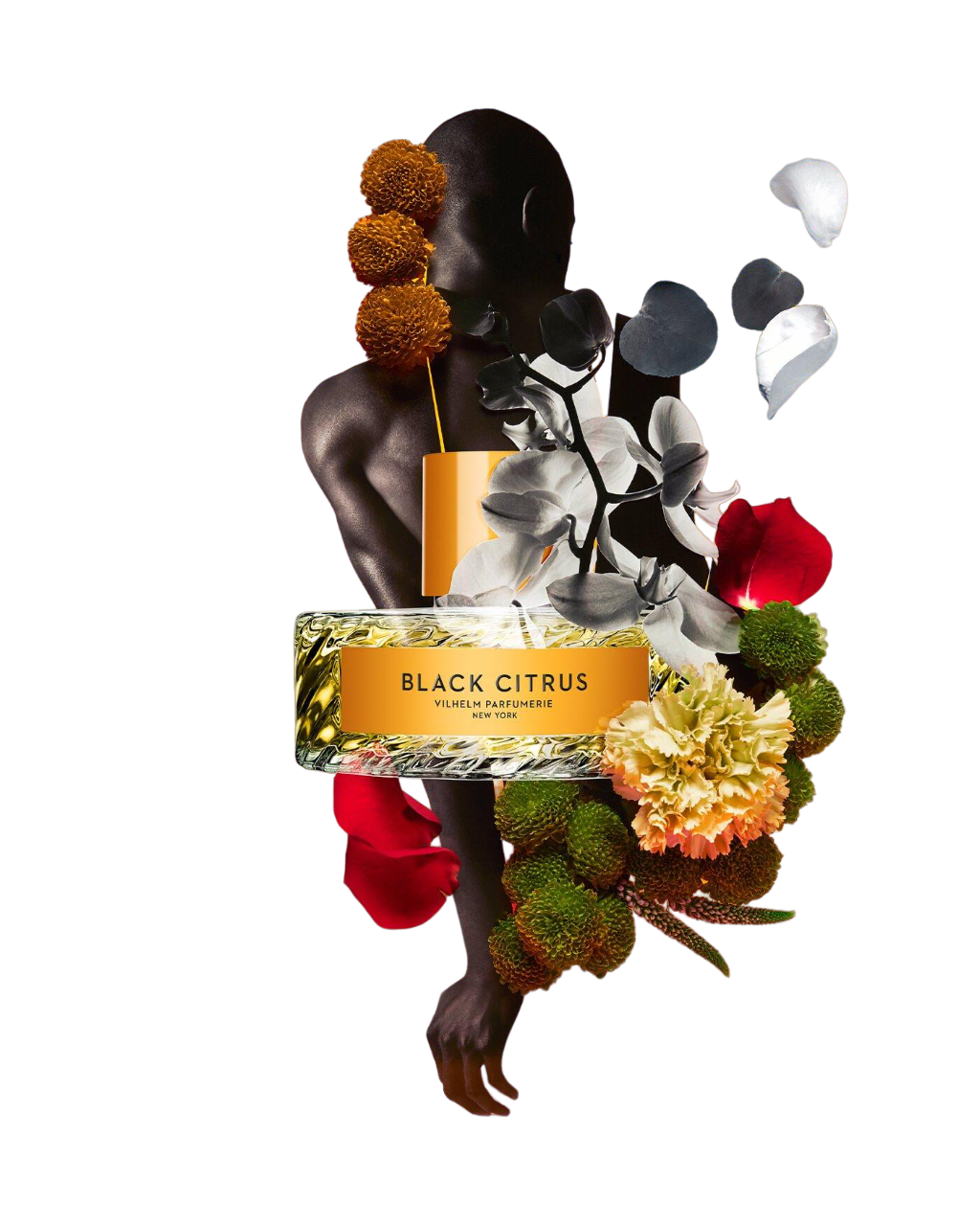 Black Citrus 