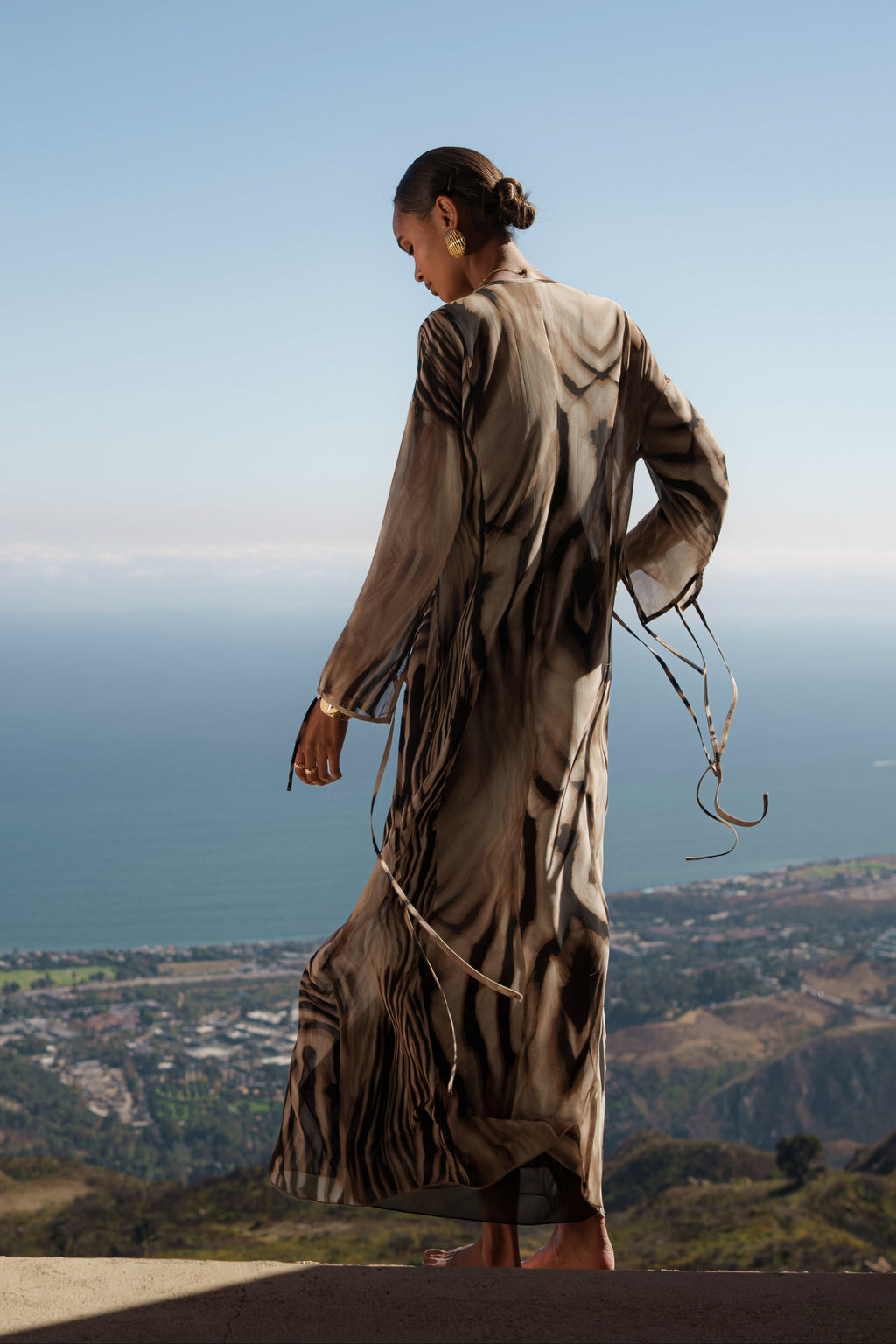 Brown Zebra New Vista Maxi Dress