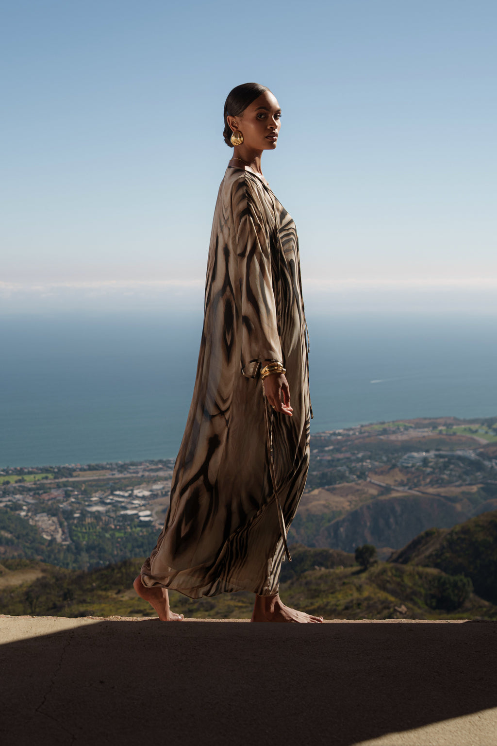 Brown Zebra New Vista Maxi Dress