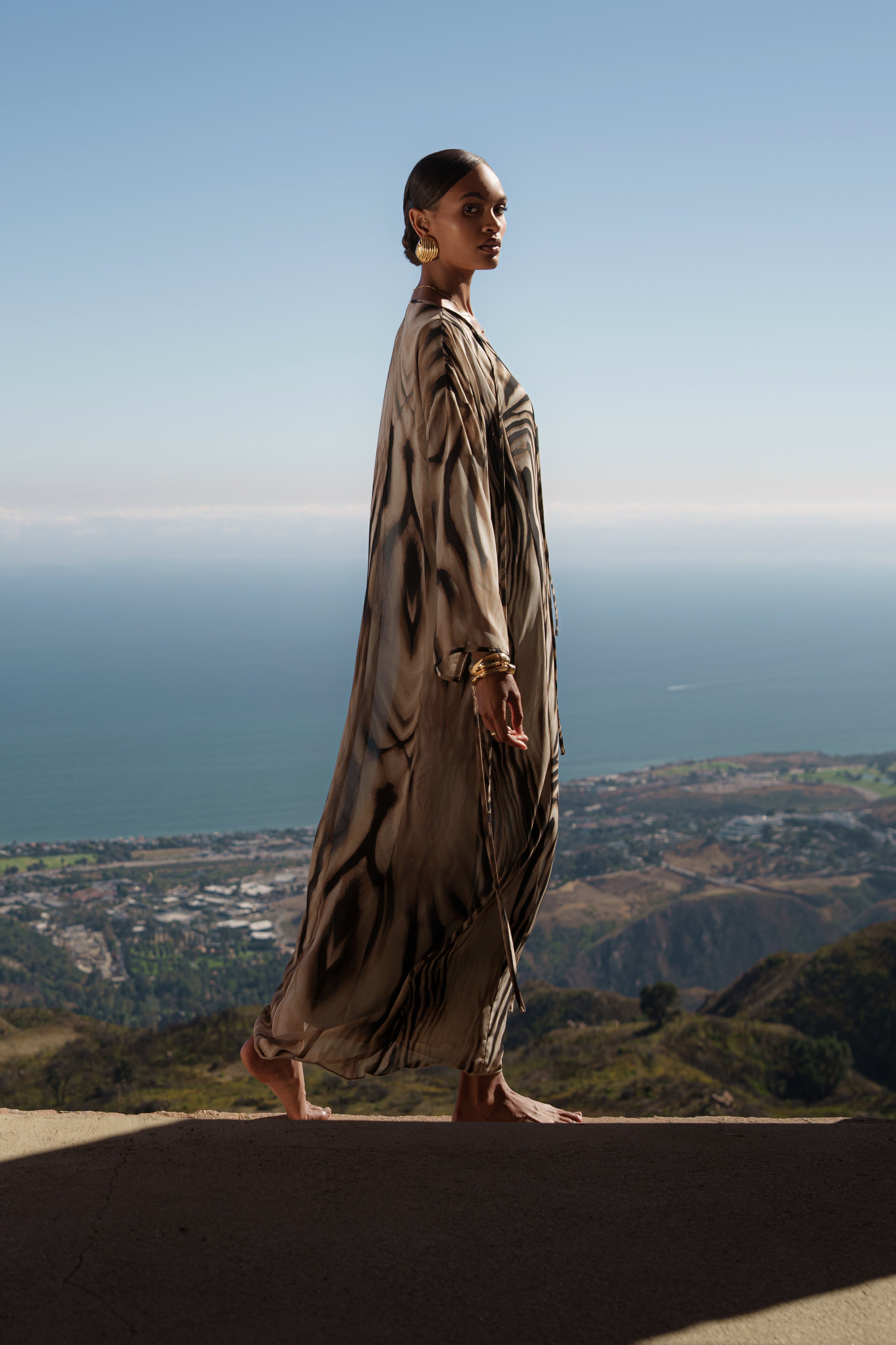 Brown Zebra New Vista Maxi Dress
