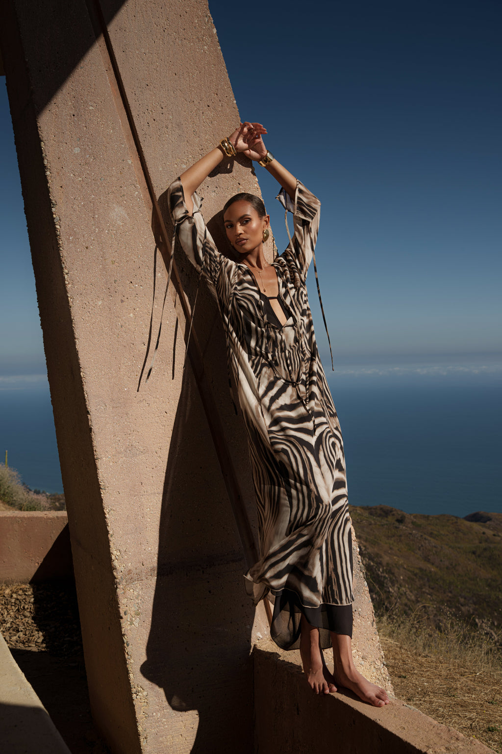 Brown Zebra New Vista Maxi Dress