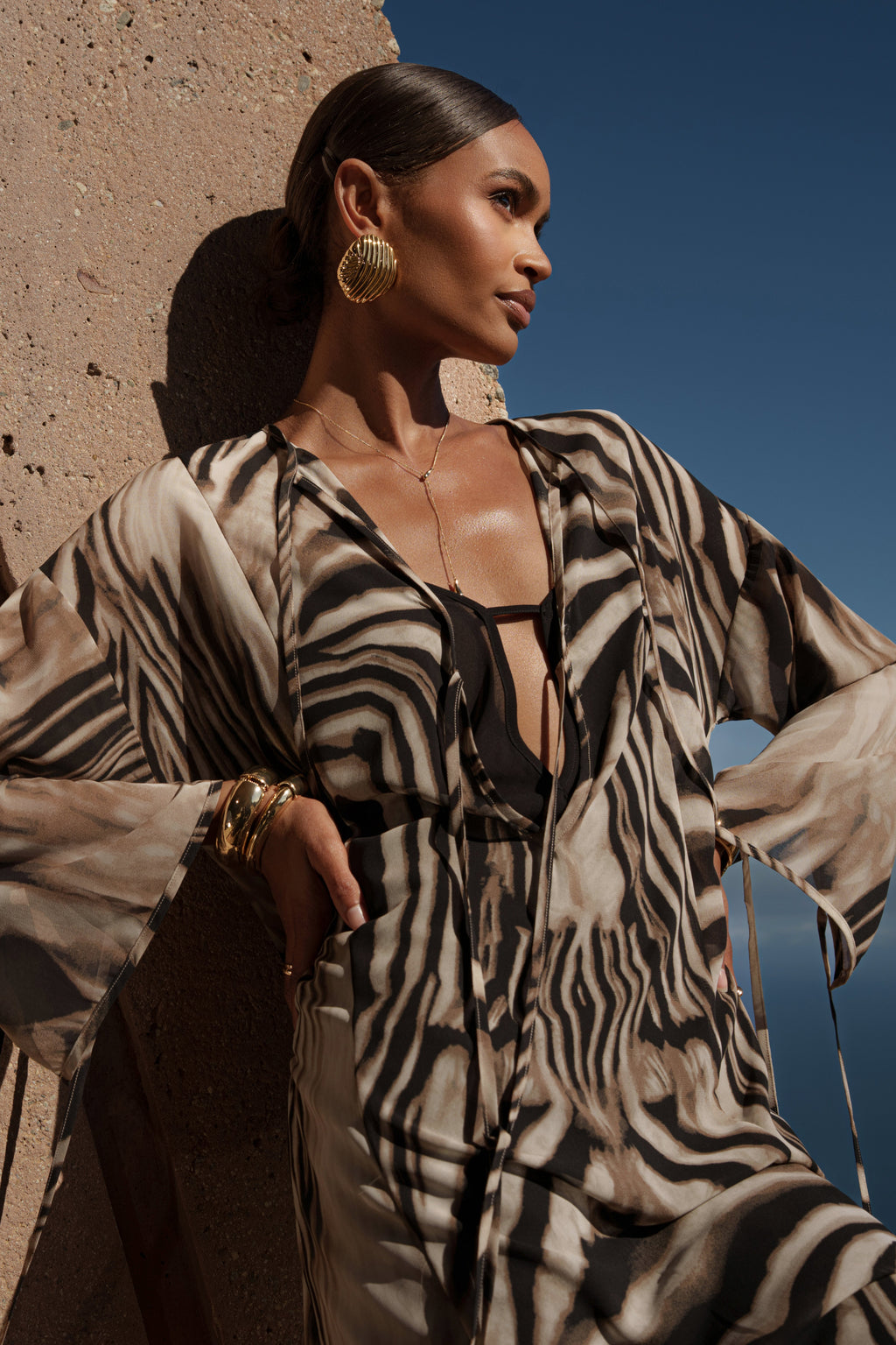 Brown Zebra New Vista Maxi Dress
